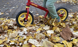 Glättegefahr durch Laub nicht unterschätzen