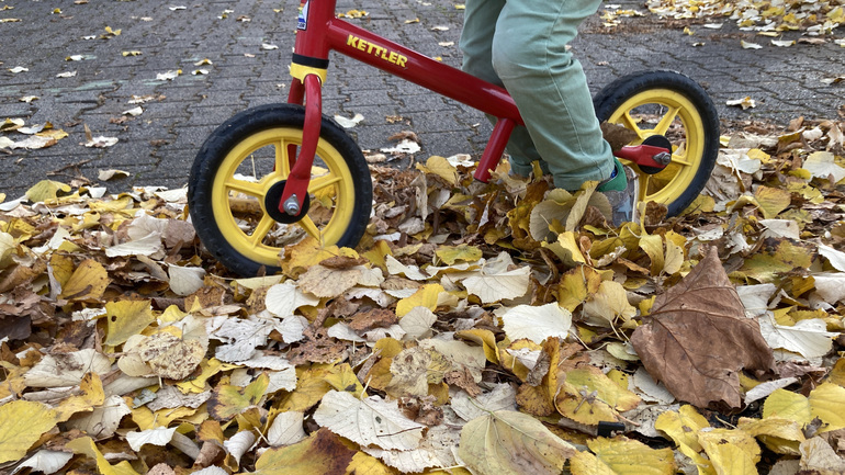 Glättegefahr durch Laub nicht unterschätzen