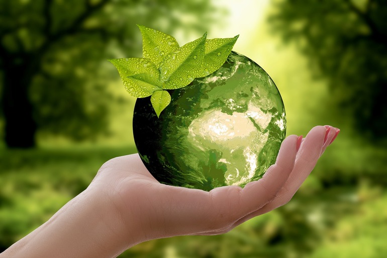 Nachhaltigkeit im Fokus: Grüne Leasing-Optionen, die Unternehmen nutzen können