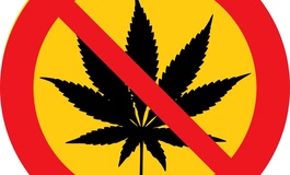 Cannabis am Steuer: Autofahrer sagen Nein zum Grenzwert