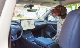 E-Auto: Hundemodus hält Temperatur konstant