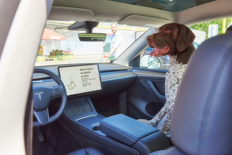 E-Auto: Hundemodus hält Temperatur konstant