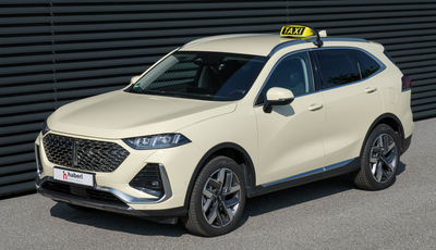 GWM Wey 03 für den Taxibetrieb erhältlich