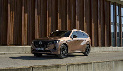 5x: Diesel-Siebensitzer im Vergleich - Raumriesen für die Reise