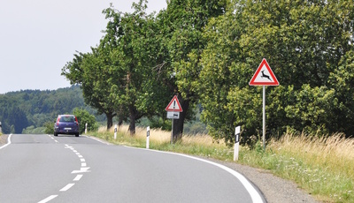 Ratgeber: Wildunfall   - Vorsicht nach der Zeitumstellung