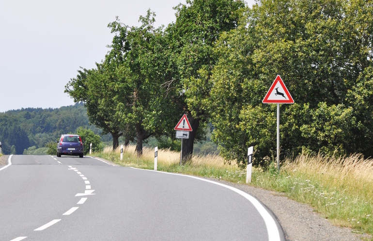 Ratgeber: Wildunfall   - Vorsicht nach der Zeitumstellung  Ratgeber: Wildunfall   - Vorsicht nach der Zeitumstellung